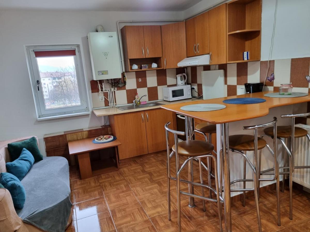 Marya'S Διαμέρισμα Râmnicu Vâlcea Εξωτερικό φωτογραφία