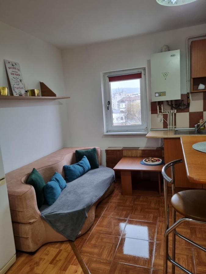 Marya'S Διαμέρισμα Râmnicu Vâlcea Εξωτερικό φωτογραφία